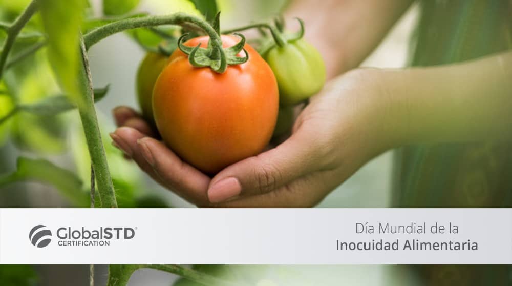 D A Mundial De La Inocuidad Alimentaria Globalstd