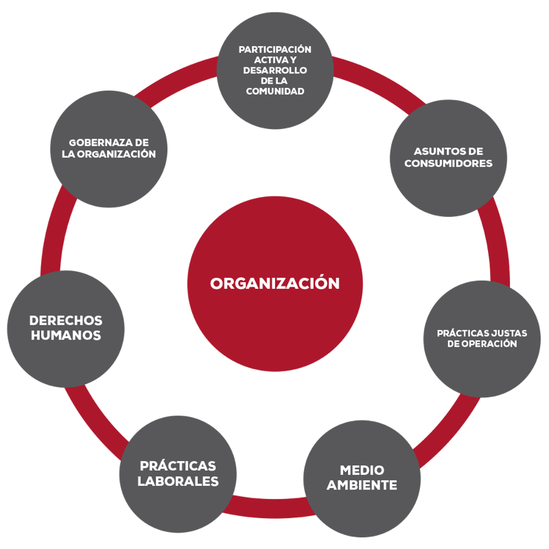 ¿Por Qué Es Importante La Responsabilidad Social? - GlobalSTD