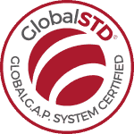 certificado global std